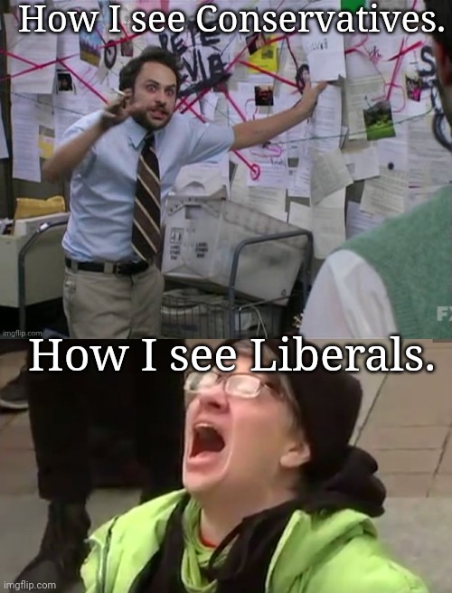 "Kids, you're both just awful". | How I see Conservatives. How I see Liberals. | image tagged in screaming liberal,conspiracy theory,conservatives,liberal vs conservative | made w/ Imgflip meme maker