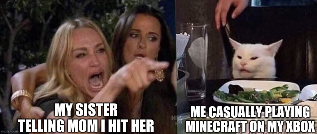 woman yelling at cat | MY SISTER TELLING MOM I HIT HER; ME CASUALLY PLAYING MINECRAFT ON MY XBOX | image tagged in woman yelling at cat | made w/ Imgflip meme maker