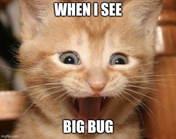 Excited Cat | WHEN I SEE; BIG BUG | image tagged in memes,excited cat | made w/ Imgflip meme maker