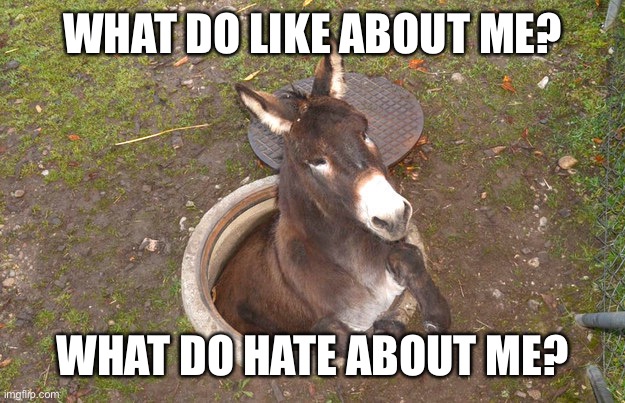And you’re not allowed to answer with a I dont even know who you are | WHAT DO LIKE ABOUT ME? WHAT DO HATE ABOUT ME? | image tagged in back to my hole horse | made w/ Imgflip meme maker