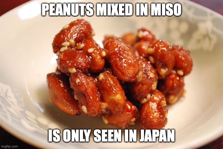Peanut Miso | PEANUTS MIXED IN MISO; IS ONLY SEEN IN JAPAN | image tagged in food,memes,peanuts | made w/ Imgflip meme maker