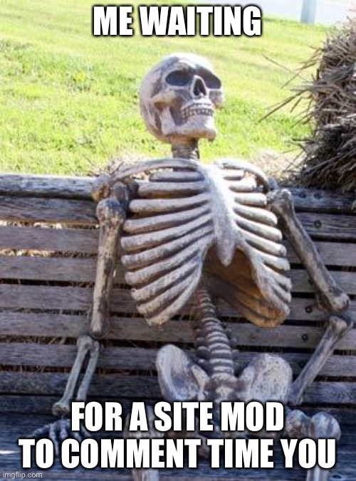 Waiting Skeleton Meme | ME WAITING FOR A SITE MOD TO COMMENT TIME YOU | image tagged in memes,waiting skeleton | made w/ Imgflip meme maker