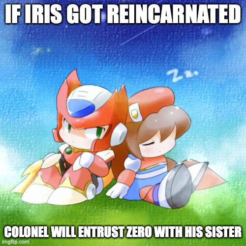 Zero X Iris | IF IRIS GOT REINCARNATED; COLONEL WILL ENTRUST ZERO WITH HIS SISTER | image tagged in megaman,megaman x,memes,zero,iris | made w/ Imgflip meme maker
