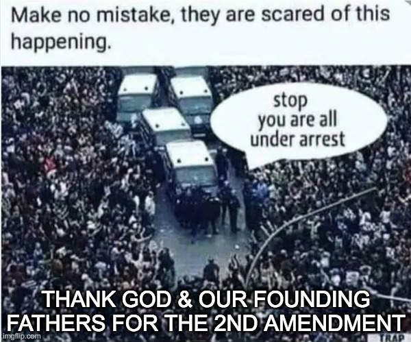 you're all under arrest | THANK GOD & OUR FOUNDING FATHERS FOR THE 2ND AMENDMENT | image tagged in protest,government,bill of rights,2nd amendment,thank god,nazi germany | made w/ Imgflip meme maker