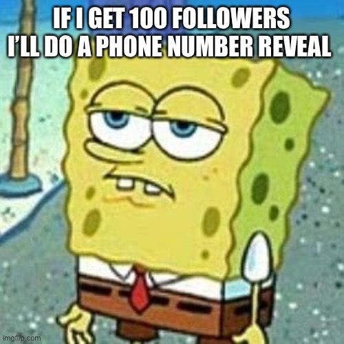 Ii | IF I GET 100 FOLLOWERS I’LL DO A PHONE NUMBER REVEAL | image tagged in no simping allowed | made w/ Imgflip meme maker