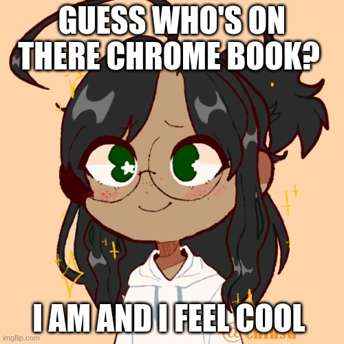 i might get in trouble but idc honestly | GUESS WHO'S ON THERE CHROME BOOK? I AM AND I FEEL COOL | image tagged in when | made w/ Imgflip meme maker