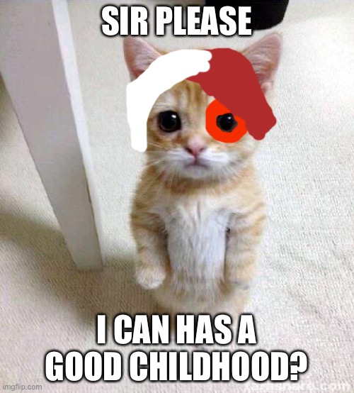 NekoRoki | SIR PLEASE; I CAN HAS A GOOD CHILDHOOD? | image tagged in memes,cute cat,todoroki | made w/ Imgflip meme maker