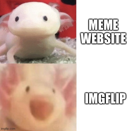 Imgflip isn’t a normal website… | MEME WEBSITE; IMGFLIP | image tagged in axolotl | made w/ Imgflip meme maker