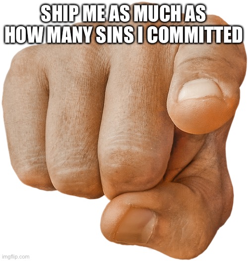 pointing finger | SHIP ME AS MUCH AS HOW MANY SINS I COMMITTED | image tagged in pointing finger | made w/ Imgflip meme maker