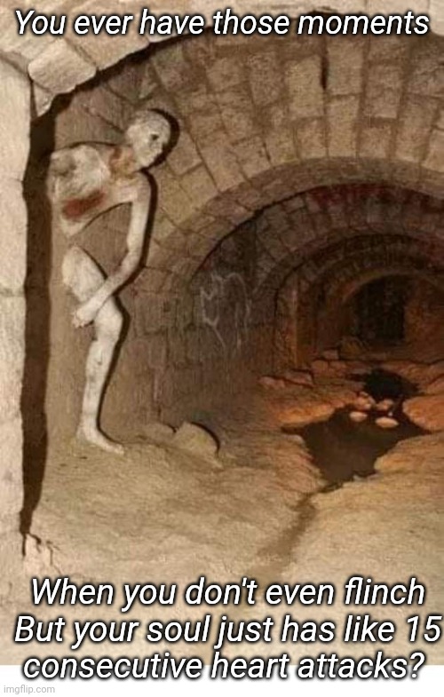 You ever have those moments; When you don't even flinch

But your soul just has like 15 consecutive heart attacks? | made w/ Imgflip meme maker