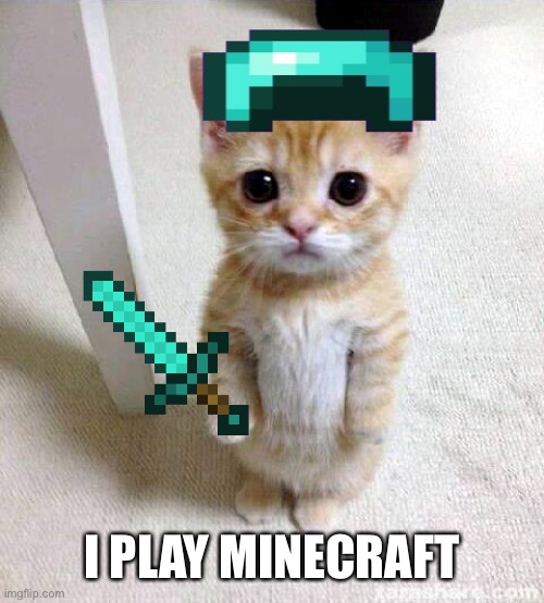 Mem | I PLAY MINECRAFT | image tagged in memes,cute cat | made w/ Imgflip meme maker