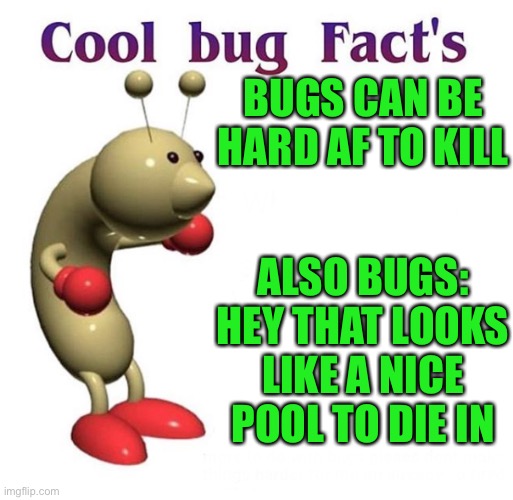 Facts of life | BUGS CAN BE HARD AF TO KILL; ALSO BUGS: HEY THAT LOOKS LIKE A NICE POOL TO DIE IN | image tagged in cool bug facts | made w/ Imgflip meme maker