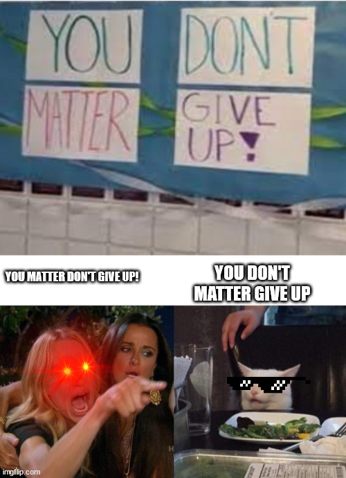 YOU DON'T MATTER GIVE UP; YOU MATTER DON'T GIVE UP! | image tagged in memes,woman yelling at cat | made w/ Imgflip meme maker