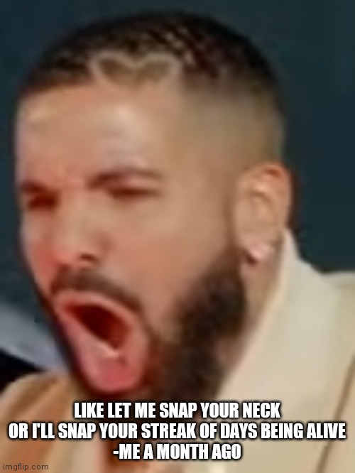 Drake pog | LIKE LET ME SNAP YOUR NECK OR I'LL SNAP YOUR STREAK OF DAYS BEING ALIVE
-ME A MONTH AGO | image tagged in drake pog | made w/ Imgflip meme maker