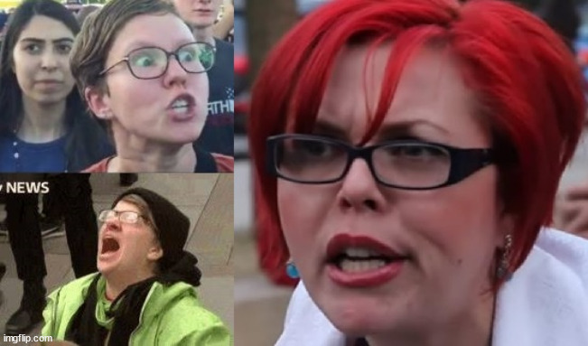 If you're on the left, these are your allies whether you like it or not: | image tagged in sjws,feminism,cultists,leftists,democrats,allies | made w/ Imgflip meme maker