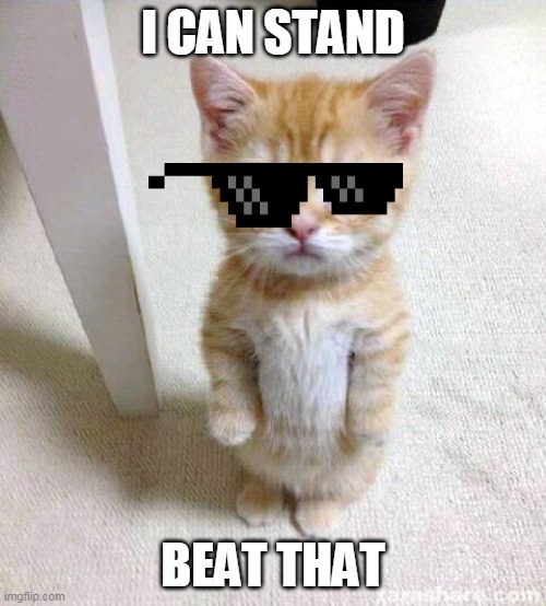 Cute Cat Meme | I CAN STAND; BEAT THAT | image tagged in memes,cute cat | made w/ Imgflip meme maker