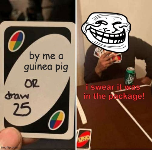 UNO Draw 25 Cards | by me a guinea pig; i swear it was 
in the package! | image tagged in memes,uno draw 25 cards | made w/ Imgflip meme maker
