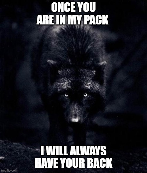 Black Wolf | ONCE YOU ARE IN MY PACK; I WILL ALWAYS HAVE YOUR BACK | image tagged in black wolf | made w/ Imgflip meme maker