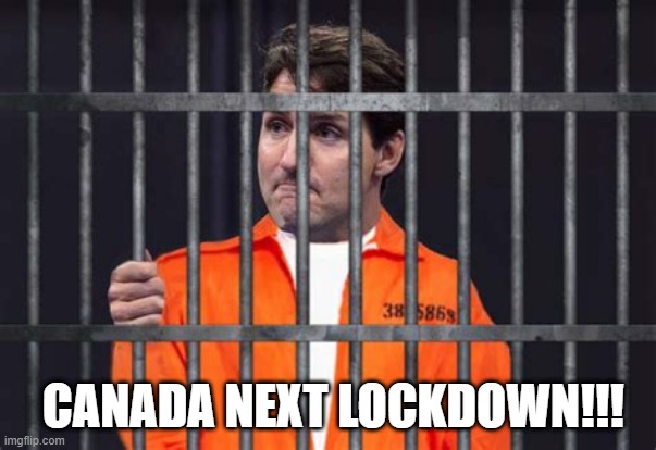 Canada next lockdown | CANADA NEXT LOCKDOWN!!! | image tagged in trudeau next lockdown | made w/ Imgflip meme maker