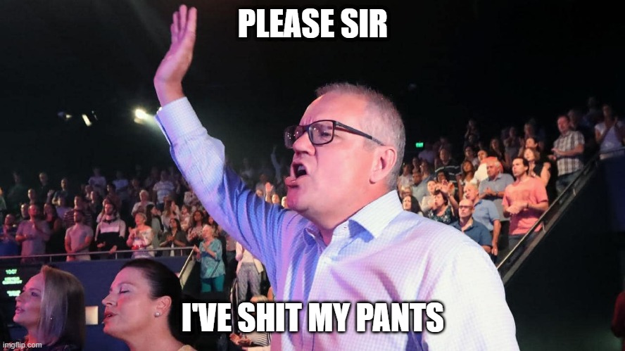 Scomo | PLEASE SIR; I'VE SHIT MY PANTS | image tagged in scott morrison praying 4 hate | made w/ Imgflip meme maker