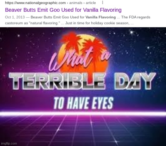 im never eating anything vanilla flavored again | image tagged in what a terrible day to have eyes,vanilla,beaver | made w/ Imgflip meme maker