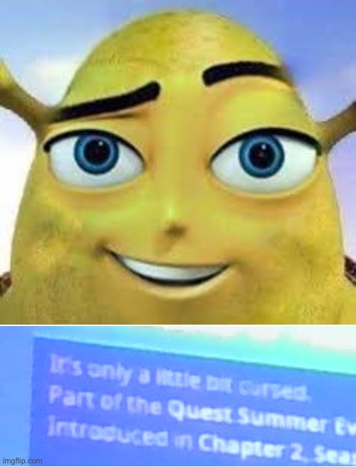 It really is only a LITTLE bit cursed | image tagged in cursed image,bee movie,shrek | made w/ Imgflip meme maker