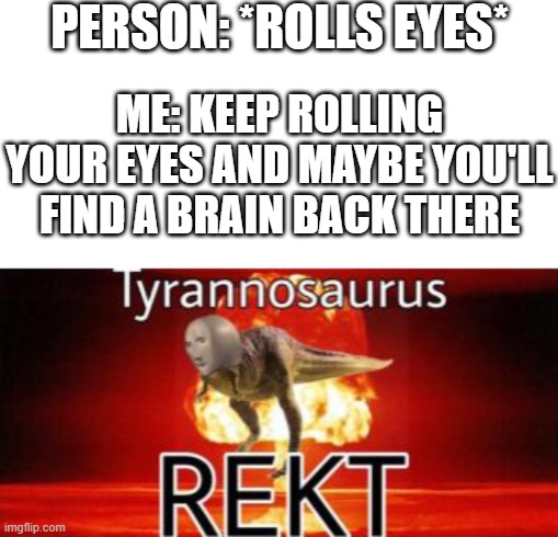 Tyrannosaurus REKT |  PERSON: *ROLLS EYES*; ME: KEEP ROLLING YOUR EYES AND MAYBE YOU'LL FIND A BRAIN BACK THERE | image tagged in tyrannosaurus rekt,rekt,fun,funny | made w/ Imgflip meme maker