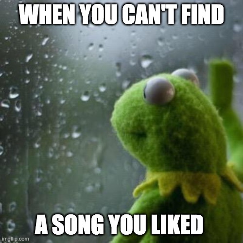 noooooo | WHEN YOU CAN'T FIND; A SONG YOU LIKED | image tagged in kermit window,song,depressing,sad | made w/ Imgflip meme maker