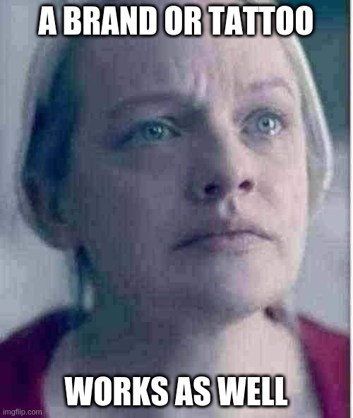 Handmaid’s Tale | A BRAND OR TATTOO; WORKS AS WELL | image tagged in handmaid s tale | made w/ Imgflip meme maker