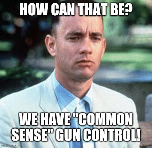 forrest gump | HOW CAN THAT BE? WE HAVE "COMMON SENSE" GUN CONTROL! | image tagged in forrest gump | made w/ Imgflip meme maker