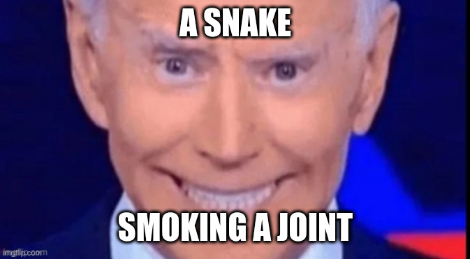Now that would be funny | A SNAKE SMOKING A JOINT | image tagged in i said dont squeeze the charmin | made w/ Imgflip meme maker