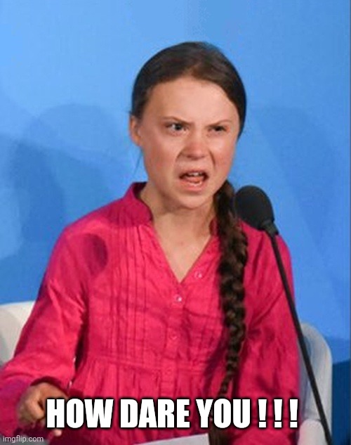 Greta Thunberg how dare you | HOW DARE YOU ! ! ! | image tagged in greta thunberg how dare you | made w/ Imgflip meme maker