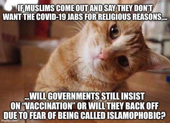 Are COVID vaccines Islamophobic? | IF MUSLIMS COME OUT AND SAY THEY DON’T WANT THE COVID-19 JABS FOR RELIGIOUS REASONS,... ...WILL GOVERNMENTS STILL INSIST ON “VACCINATION” OR WILL THEY BACK OFF DUE TO FEAR OF BEING CALLED ISLAMOPHOBIC? | image tagged in curious question cat,memes,islam,muslim,covid,drugs | made w/ Imgflip meme maker