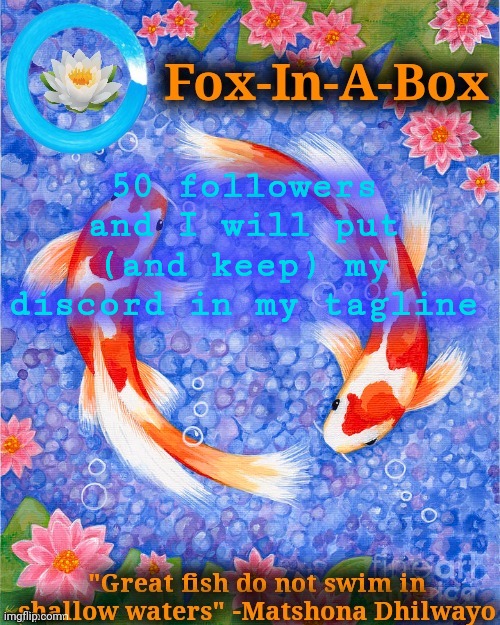 50 followers and I will put (and keep) my discord in my tagline | image tagged in fox-in-a-box fish temp | made w/ Imgflip meme maker