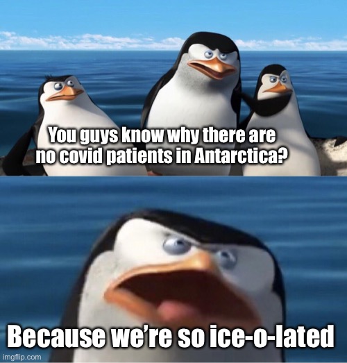 Dad jokes suck | You guys know why there are no covid patients in Antarctica? Because we’re so ice-o-lated | image tagged in wouldn't that make you,memes,crappy memes,dad jokes | made w/ Imgflip meme maker