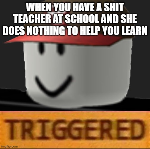 School... | WHEN YOU HAVE A SHIT TEACHER AT SCHOOL AND SHE DOES NOTHING TO HELP YOU LEARN | image tagged in roblox triggered | made w/ Imgflip meme maker