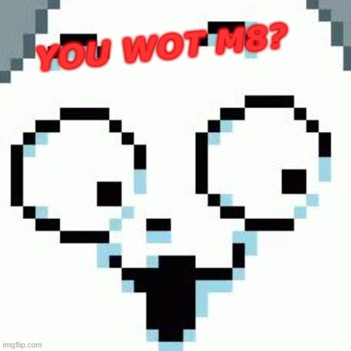 Temmie | YOU WOT M8? | image tagged in temmie | made w/ Imgflip meme maker