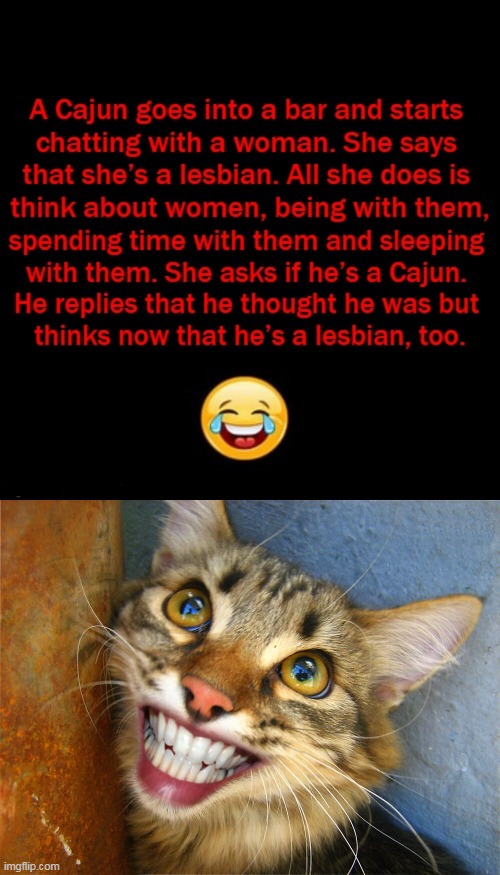 Worth a Look & a Laugh.... | image tagged in fun,funny,lol | made w/ Imgflip meme maker