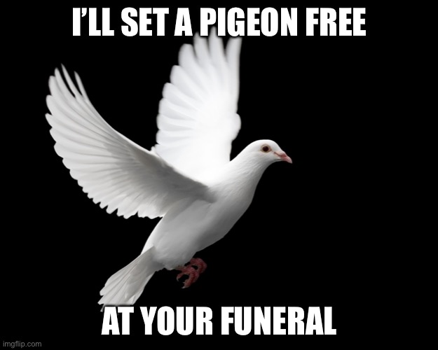 Birds of a Feather. . . |  I’LL SET A PIGEON FREE; AT YOUR FUNERAL | image tagged in dove pigeon love peace happiness | made w/ Imgflip meme maker