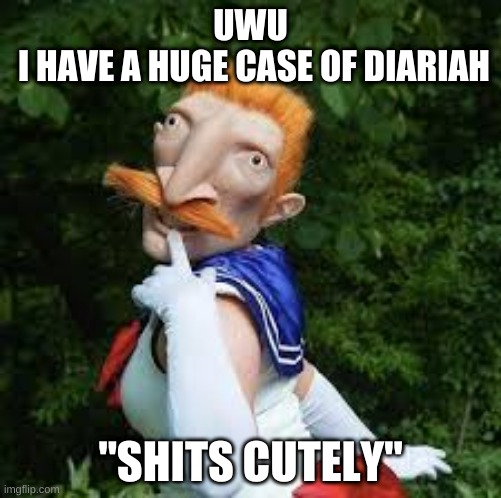 uwu | UWU
 I HAVE A HUGE CASE OF DIARIAH; "SHITS CUTELY" | image tagged in anime memes | made w/ Imgflip meme maker