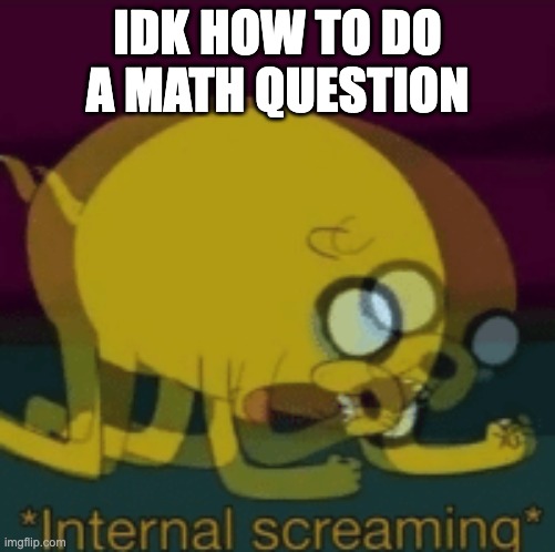 Jake The Dog Internal Screaming | IDK HOW TO DO A MATH QUESTION | image tagged in jake the dog internal screaming | made w/ Imgflip meme maker