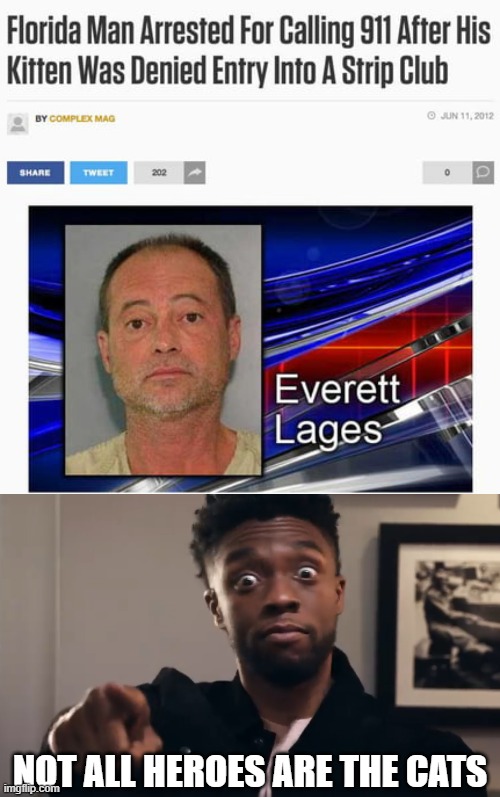 Florida Man kitten Strip club |  NOT ALL HEROES ARE THE CATS | image tagged in chadwick boseman pointing,florida man | made w/ Imgflip meme maker