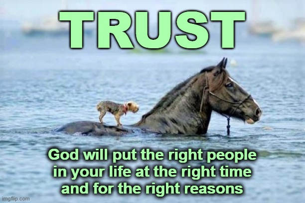 God never lets me down | TRUST; God will put the right people
in your life at the right time
and for the right reasons | image tagged in trust,miracles,god,christianity,faithful | made w/ Imgflip meme maker