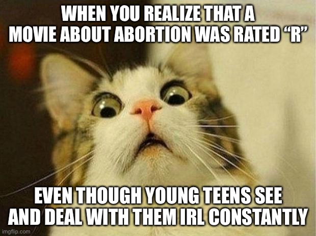 you don’t need adult supervision to see abortions irl but you do in the theater??? | WHEN YOU REALIZE THAT A MOVIE ABOUT ABORTION WAS RATED “R”; EVEN THOUGH YOUNG TEENS SEE AND DEAL WITH THEM IRL CONSTANTLY | image tagged in memes,scared cat,consistency,wtf,abortion | made w/ Imgflip meme maker