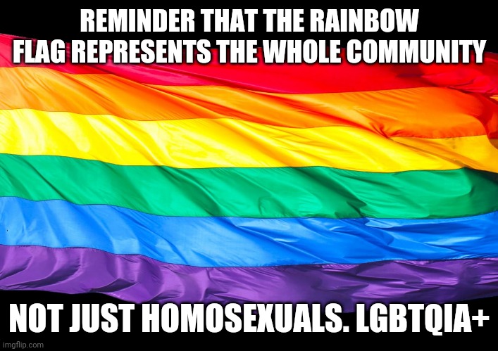 LGBTQIA+ FLAG | REMINDER THAT THE RAINBOW FLAG REPRESENTS THE WHOLE COMMUNITY; NOT JUST HOMOSEXUALS. LGBTQIA+ | image tagged in gay flag | made w/ Imgflip meme maker