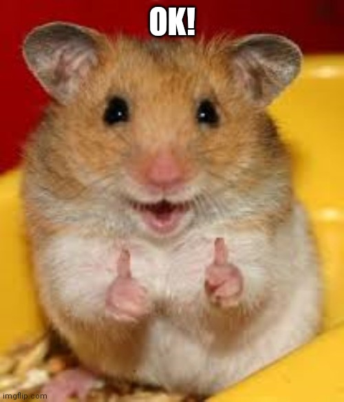 Thumbs up hamster  | OK! | image tagged in thumbs up hamster | made w/ Imgflip meme maker
