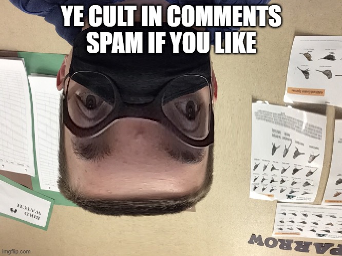 ye cult in comments | YE CULT IN COMMENTS
SPAM IF YOU LIKE | image tagged in my life in a nutshell | made w/ Imgflip meme maker