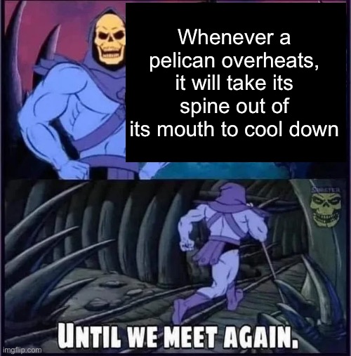 Until we meet again. | Whenever a pelican overheats, it will take its spine out of its mouth to cool down | image tagged in until we meet again | made w/ Imgflip meme maker