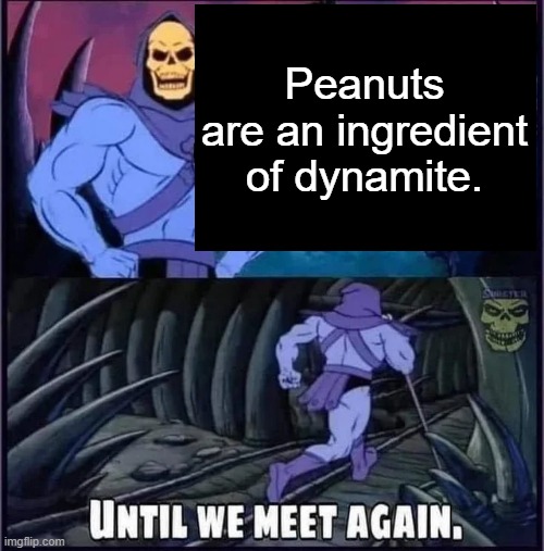 Until we meet again. | Peanuts are an ingredient of dynamite. | image tagged in until we meet again | made w/ Imgflip meme maker