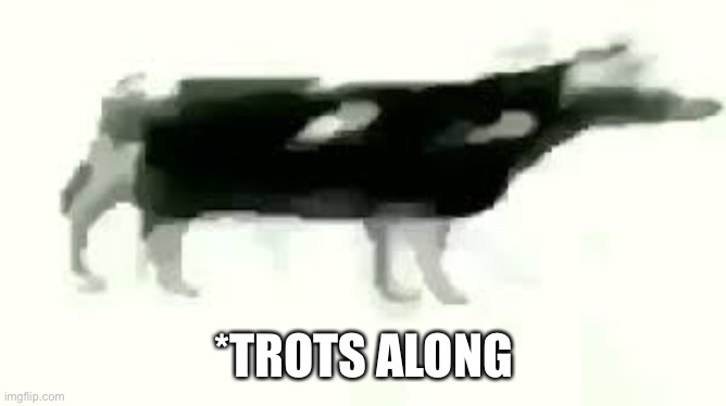 polish cow | *TROTS ALONG | image tagged in polish cow | made w/ Imgflip meme maker